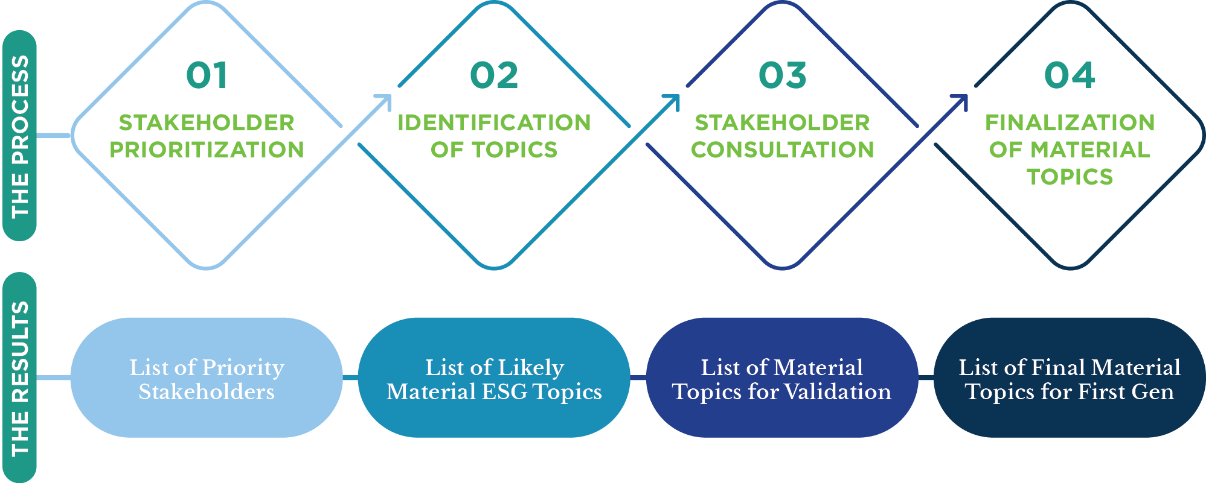 Materiality Determination Process